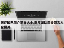 医疗团队简介范文大全,医疗团队简介范文大全图片